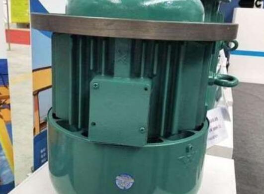 軸電流量對(duì)龍門(mén)吊電機(jī)的損壞有多大？